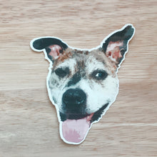 Load image into Gallery viewer, Personalized pet head sticker
